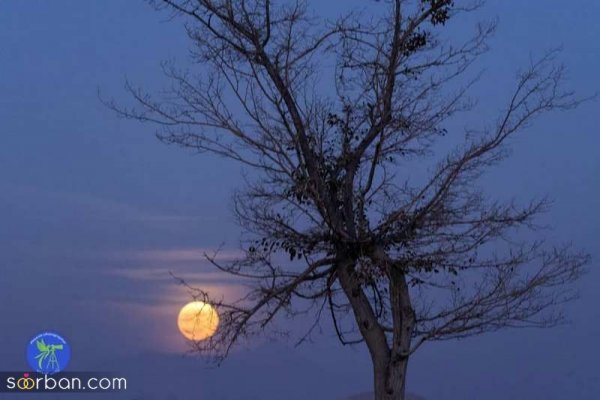  عکس ماه و خورشید برای پروفایل