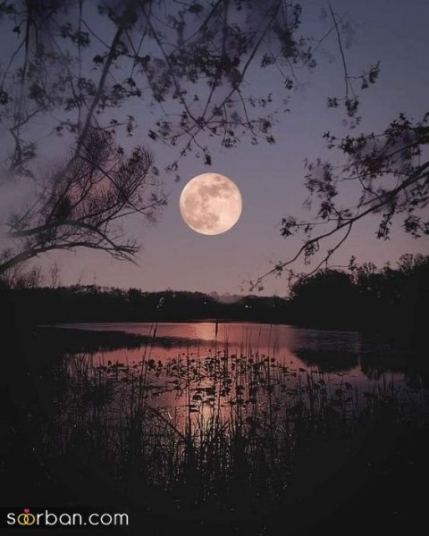  عکس ماه و خورشید برای پروفایل