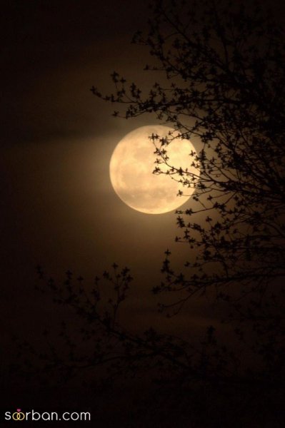  عکس ماه و خورشید برای پروفایل