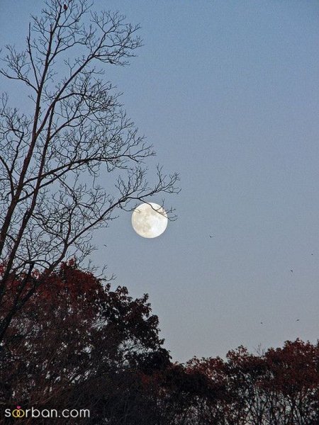  عکس ماه و خورشید برای پروفایل