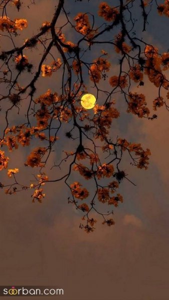  عکس ماه و خورشید برای پروفایل