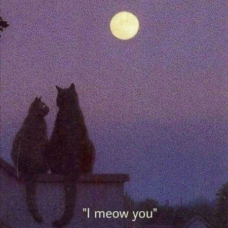  بک گراند ماه و ستاره