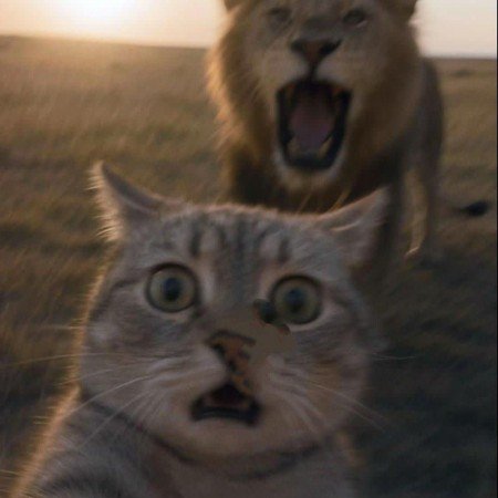  بک گراند ماه و ستاره