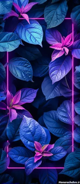  بک گراند فانتزی بنفش