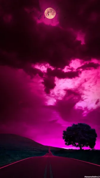  بک گراند فانتزی بنفش