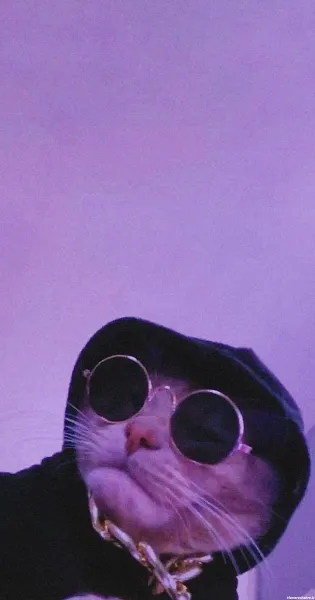  بک گراند فانتزی بنفش