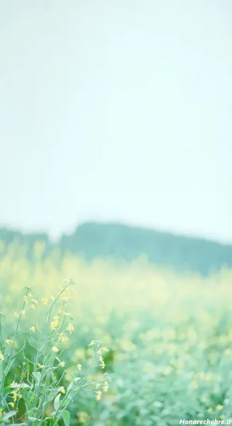  بک گراند فانتزی برای نوشتن متن