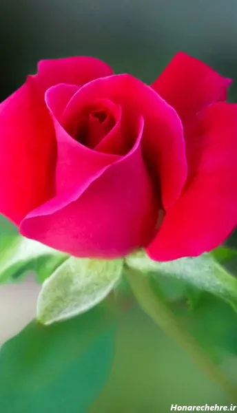  بک گراند فانتزی برای نوشتن متن