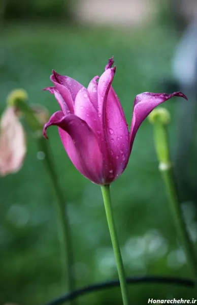  بک گراند استوری با کیفیت