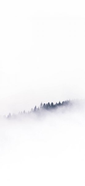  بک گراند سفید ساده با کیفیت