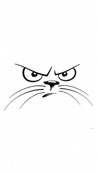  بک گراند سفید ساده با کیفیت