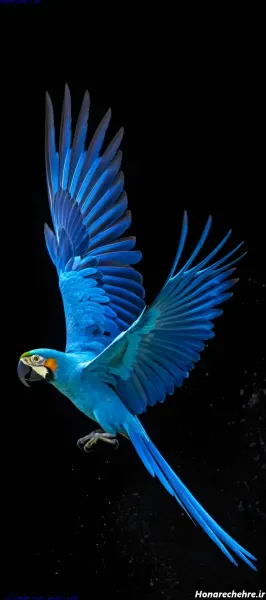  بک گراند سبز پاستیلی