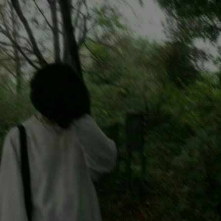  بک گراند سبز فانتزی