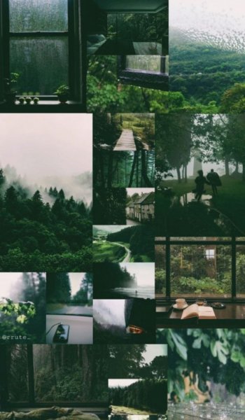  بک گراند سبز فانتزی