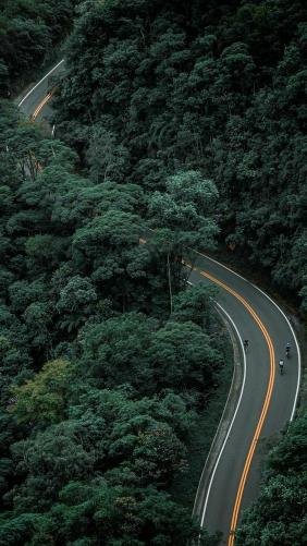  بک گراند سبز لجنی