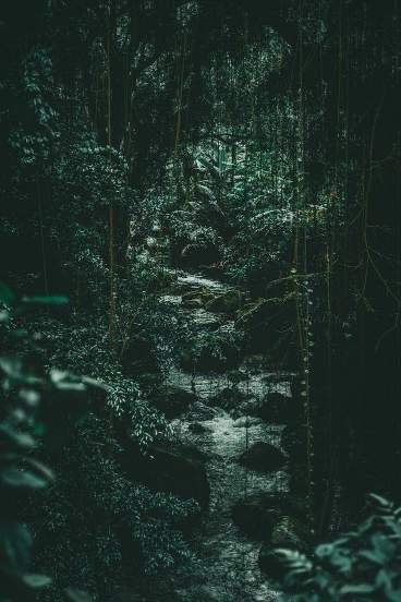  بک گراند سبز یشمی ساده