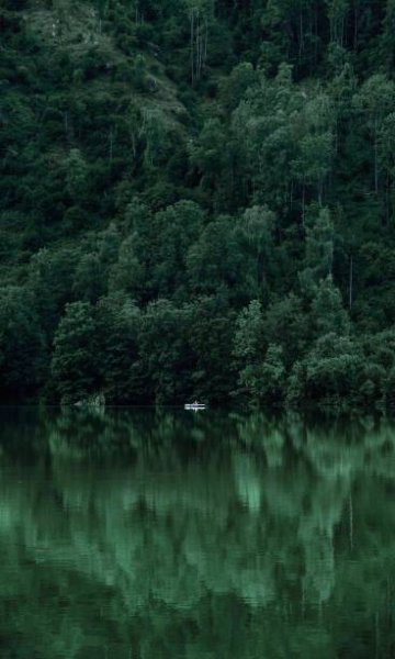  بک گراند سبز یشمی ساده