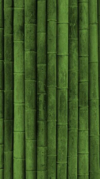  بک گراند سبز یشمی ساده