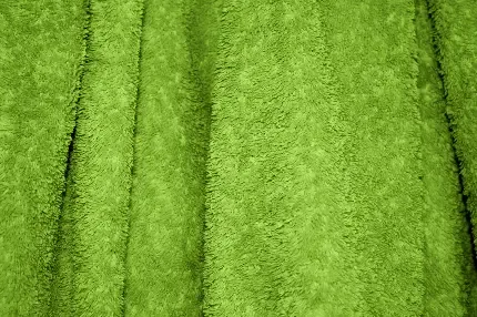  بک گراند سبز سدری