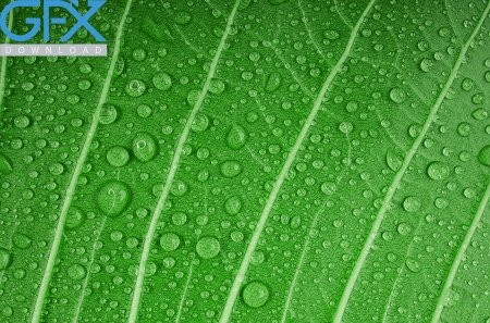  بک گراند سبز پاستیلی ساده