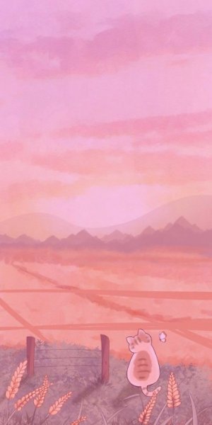  عکس مینیمال بک گراند