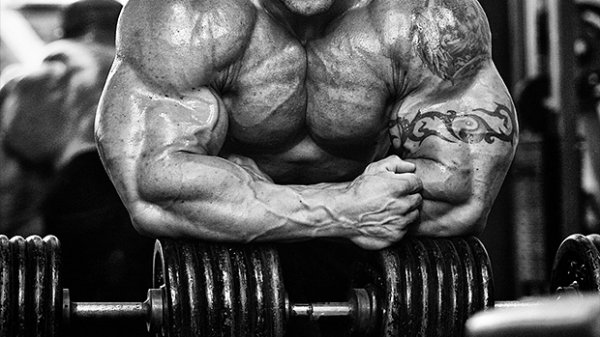  عکس بدنسازی برای پروفایل