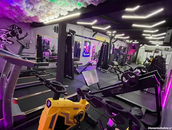  عکس باشگاه بدنسازی بانوان