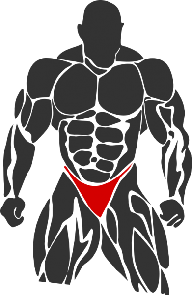  عکس بدنسازی برای پروفایل پسرانه