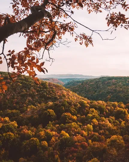  عکس مینیمال پاییزی