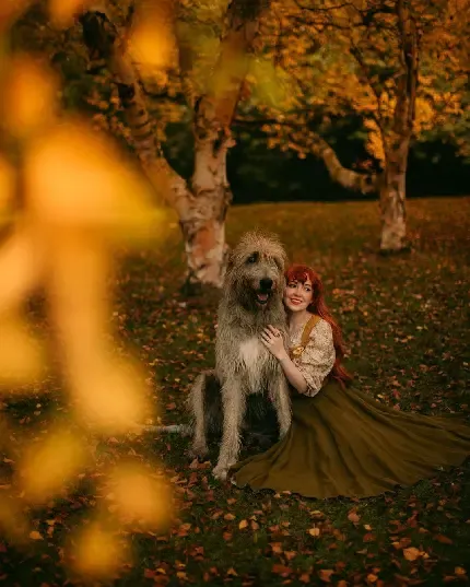  عکس مینیمال پاییزی