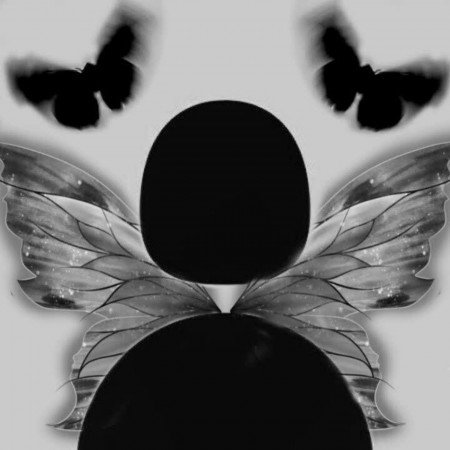  عکس مینیمال پروانه