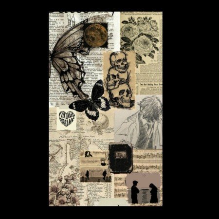  عکس مینیمال پروانه