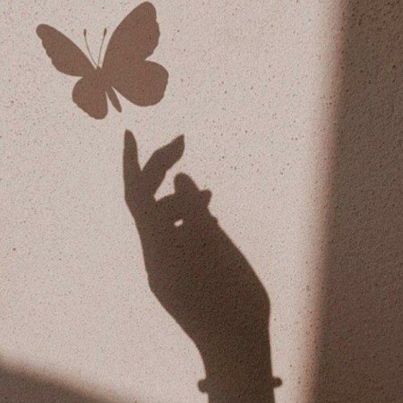  عکس مینیمال پروانه