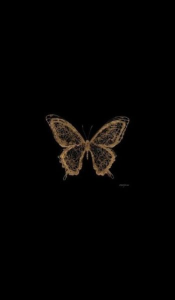  عکس مینیمال پروانه