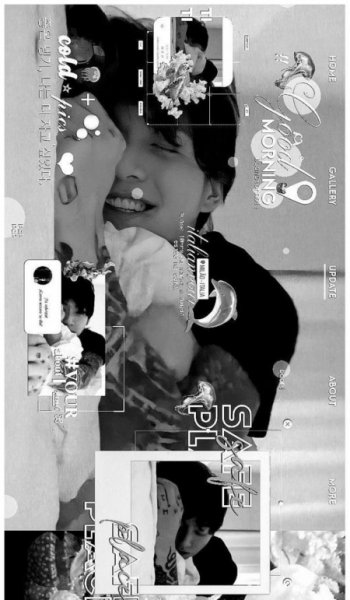  عکس مینیمال پروانه