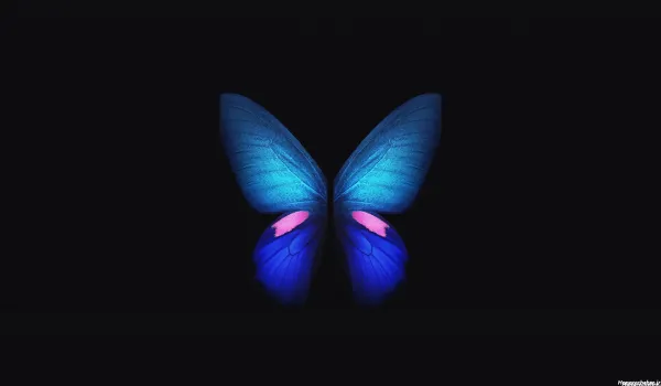 عکس پروفایل پروانه عاشقانه