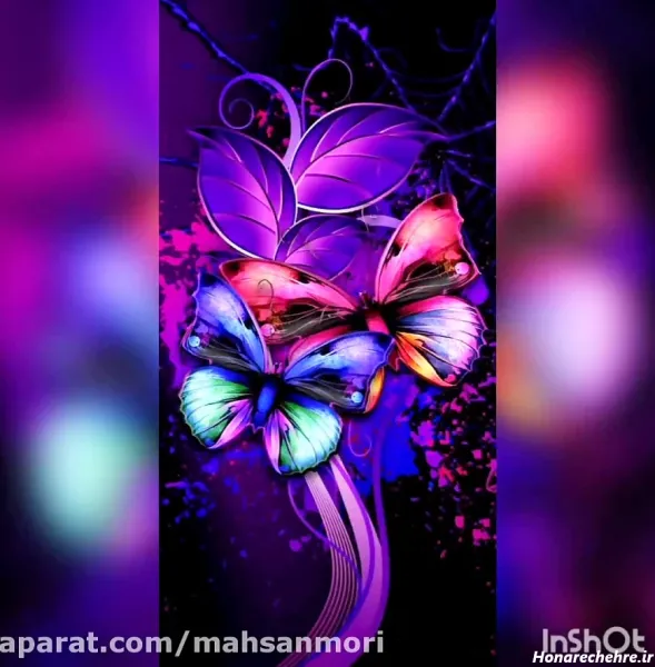  عکس پروفایل پروانه عاشقانه