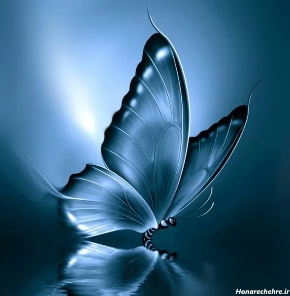  عکس پروفایل پروانه عاشقانه