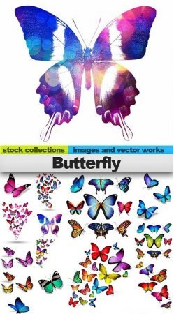  عکس پروانه برای چاپ