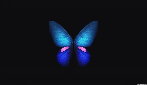 عکس پروانه ابی واقعی