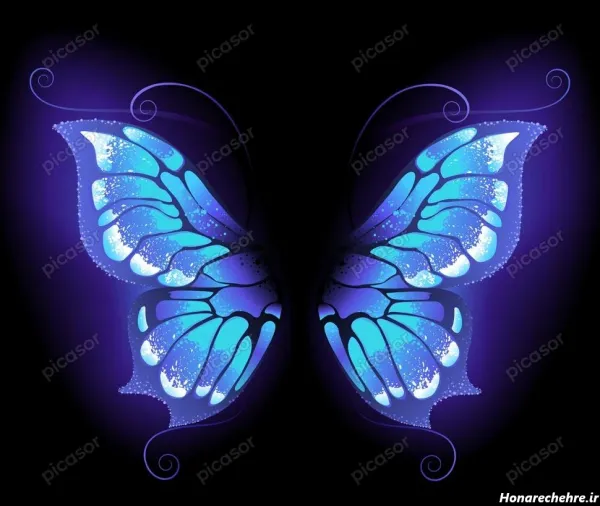  عکس پروانه ابی واقعی