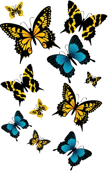  عکس پروانه ابی واقعی