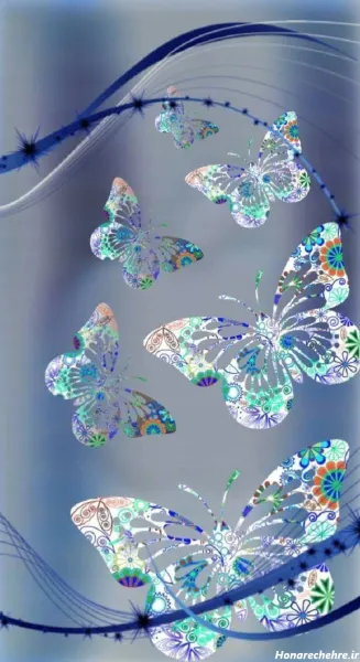  عکس پروانه ابی واقعی