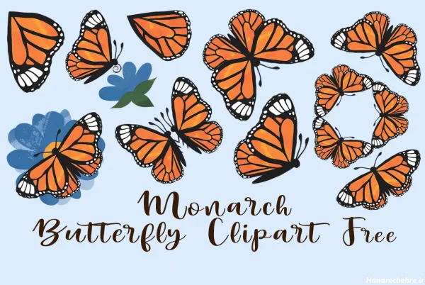  عکس پروانه فانتزی