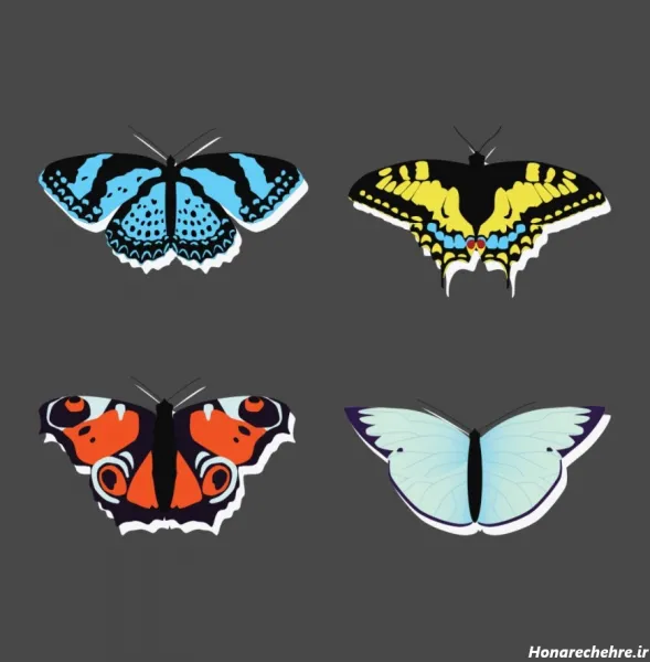  عکس پروانه فانتزی