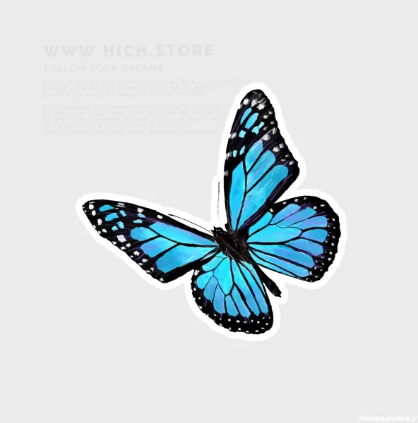  عکس پروانه فانتزی