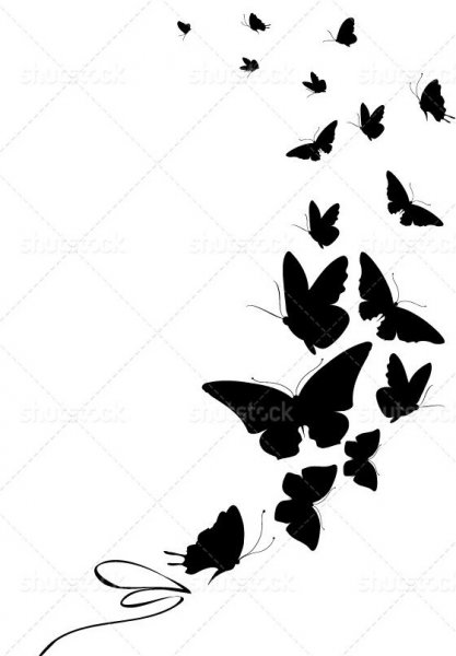  عکس پروانه برای چاپ سیاه سفید