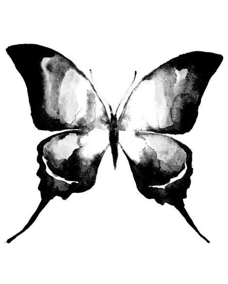  عکس پروانه برای چاپ سیاه سفید