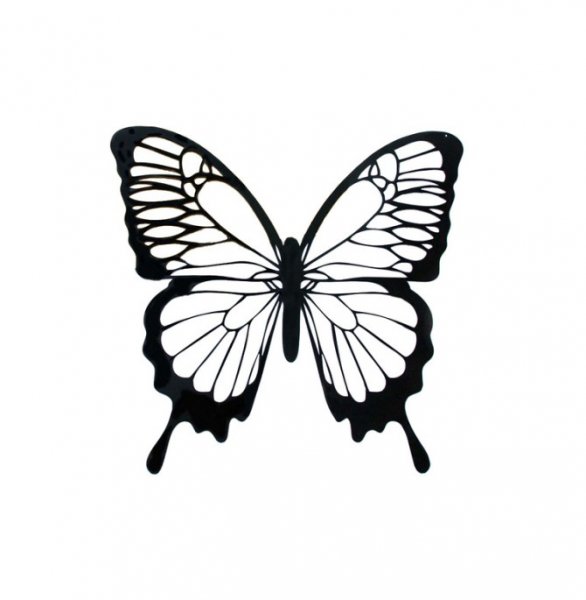  عکس پروانه برای چاپ سیاه سفید