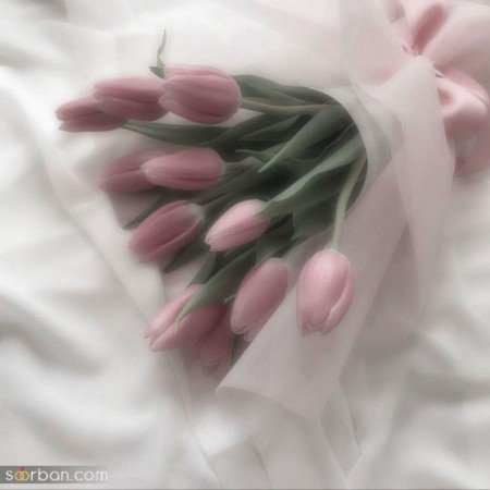  عکس مینیمال گل